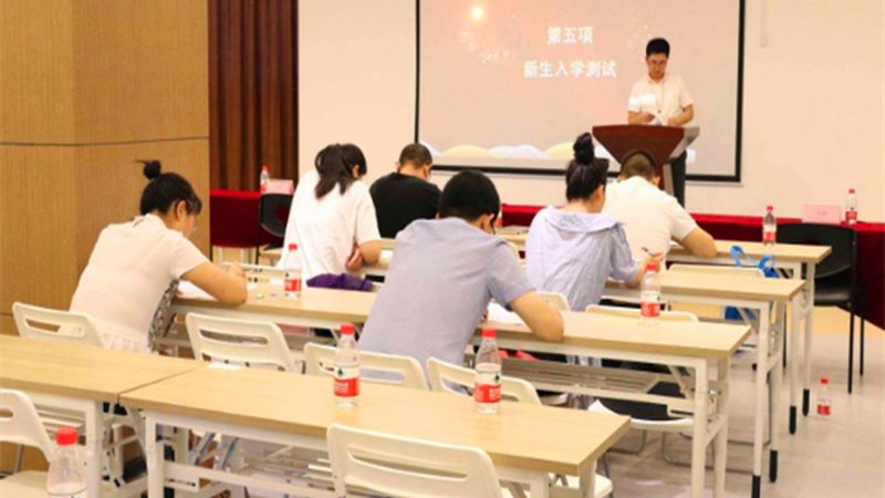 考研辅导，一对一还是班课？揭秘两者差异与选择要点